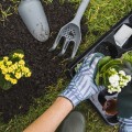 overhead-view-hand-holding-small-fresh-potted-plant